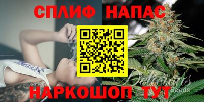 мдпв Пугачёв