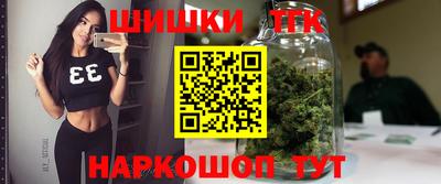 мдпв Пугачёв