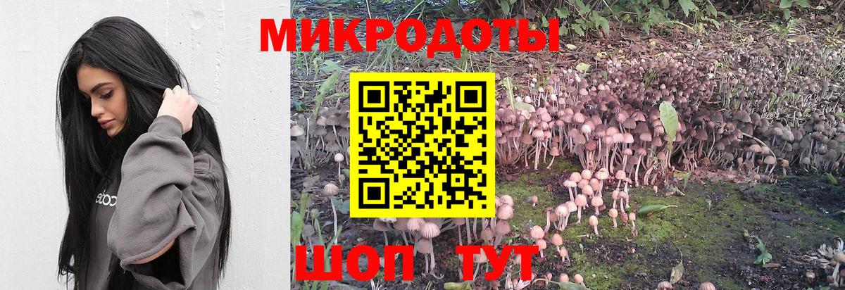Алейск  Галлюциногенные грибы мицелий  Вход с VPN 